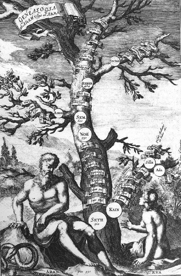Arbol de los descendientes de Ad&aacute;n, de la obra Arca de No&eacute;, de Athanasius Kircher, 1675