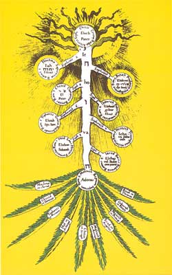 El Arbol sefir&oacute;tico como palmera invertida, en Robert Fludd